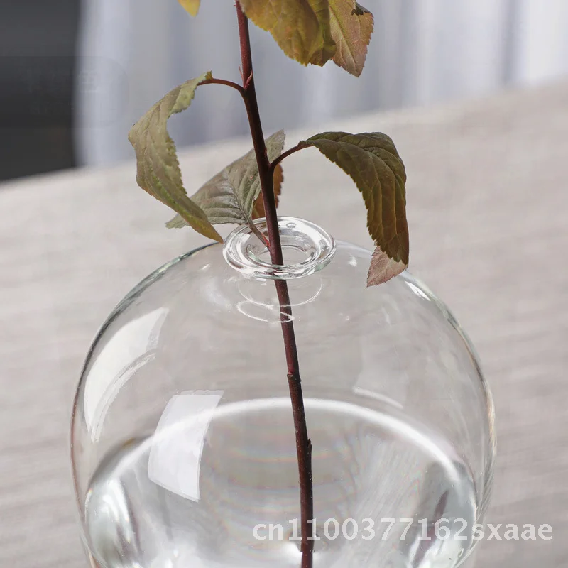 

Стеклянная ваза в японском стиле Zen, прозрачный боросиликатный цветочный орнамент, гидропонная бутылка сливы ручной работы для гостиной