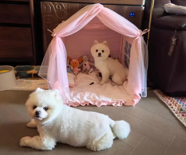 Haustierhaus für alle Jahreszeiten, universelles kleines Hundebett