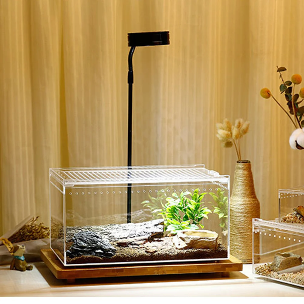 

Acrylic Reptile Box Large Comfortable Space Transparent Breeding Box Turtle Spider Snake Scorpion Hermit Crab Pet Escape