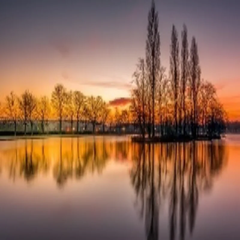 

VIP customer express freight payment channel