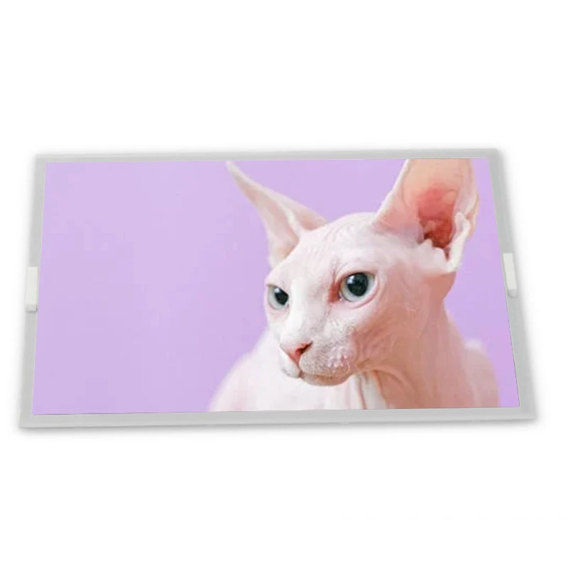 7 Inch 800*480 AM-8…