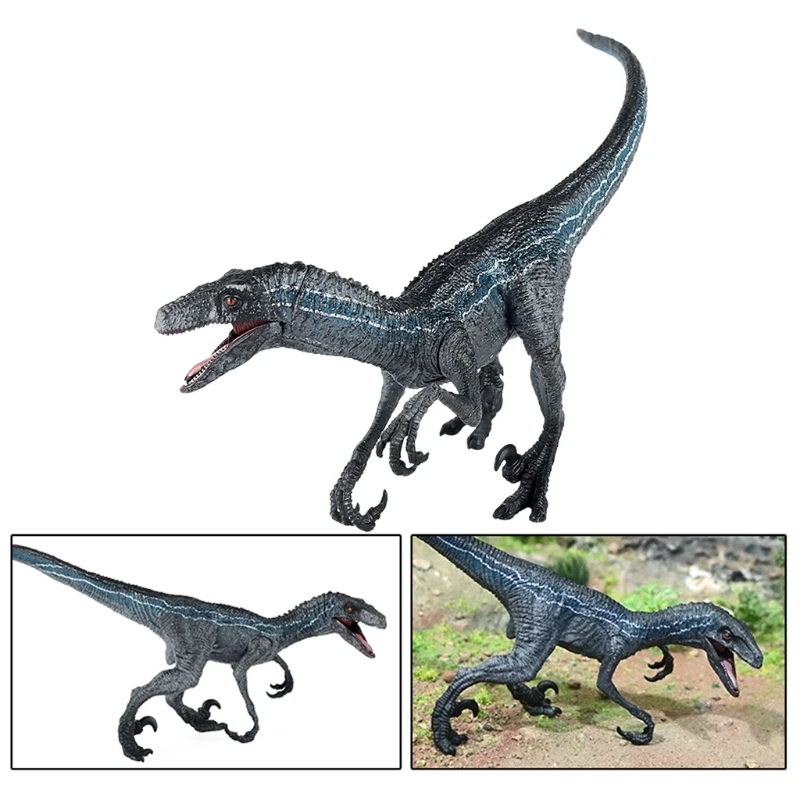 Modèle Animal dinosaure Miniature réaliste 8 pouces, vélociraptor avec avant-bras mobile