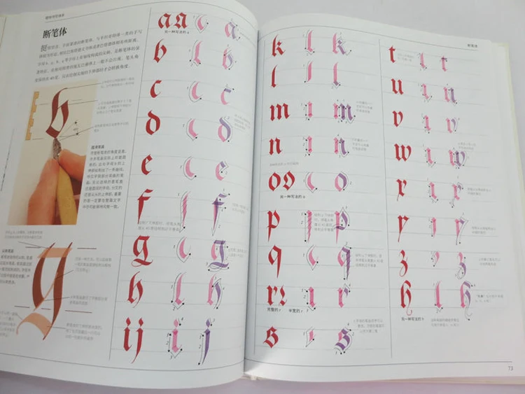 The Art Of Calligraphy David Harris Art Word Design Practice Font Gothic writing in English Book