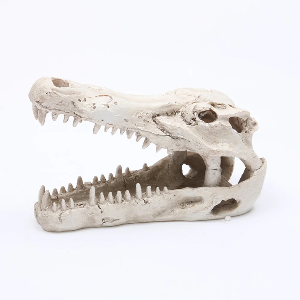 

Eco Friendly Crocodile Skull Resin Craft Realistic Handmade Ornament Desktop Decor for Home Office Christmas Holiday Decoration