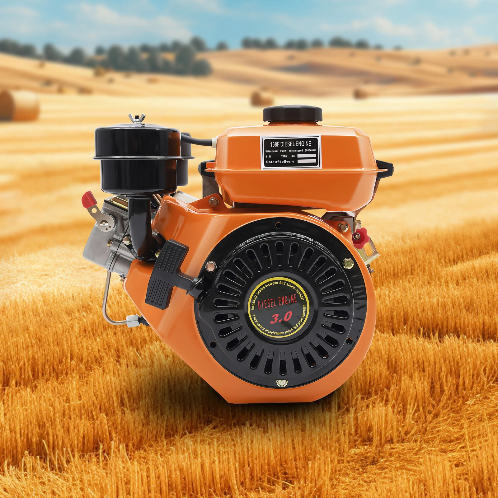 196CC 4 tempi motore diesel avviamento a strappo monocilindrico 2.2KW per macchine agricole motore leggero raffreddato ad aria