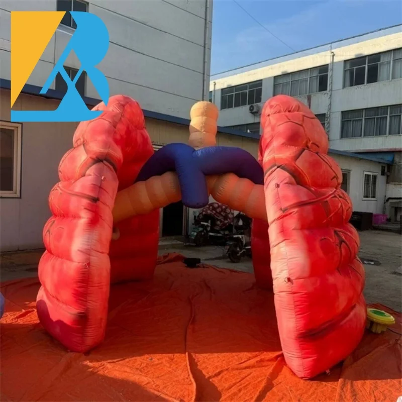 

Bespoke Events Decorative Giant Inflatable Lung Replica for Exhibition Props Toys