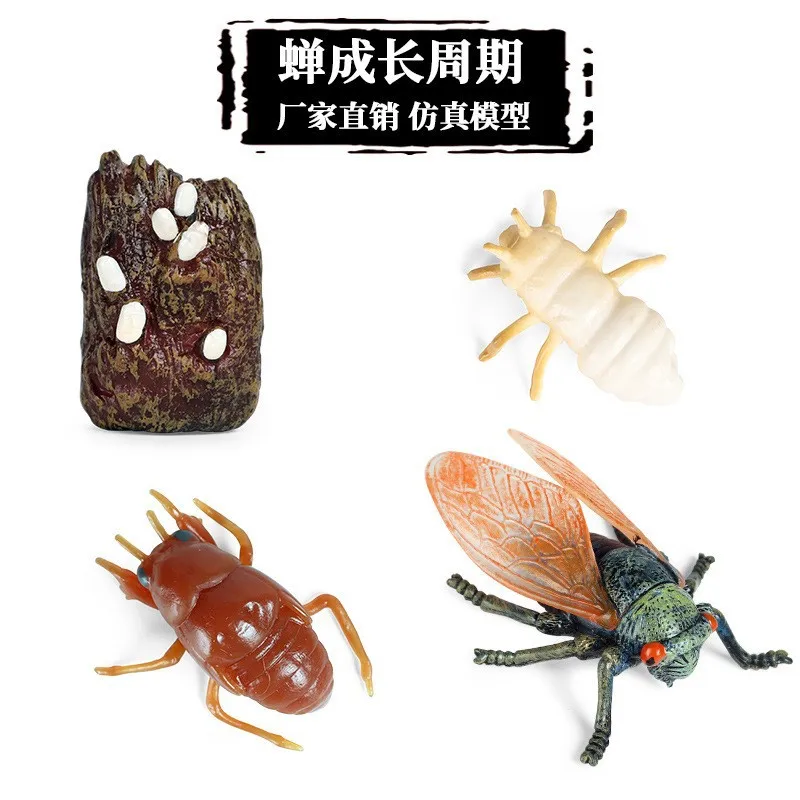 Life Growth Cycle Simulation Insect Butterfly Frog Chicken Action Figures Animal Model Baby Educational Miniature Kids Toy