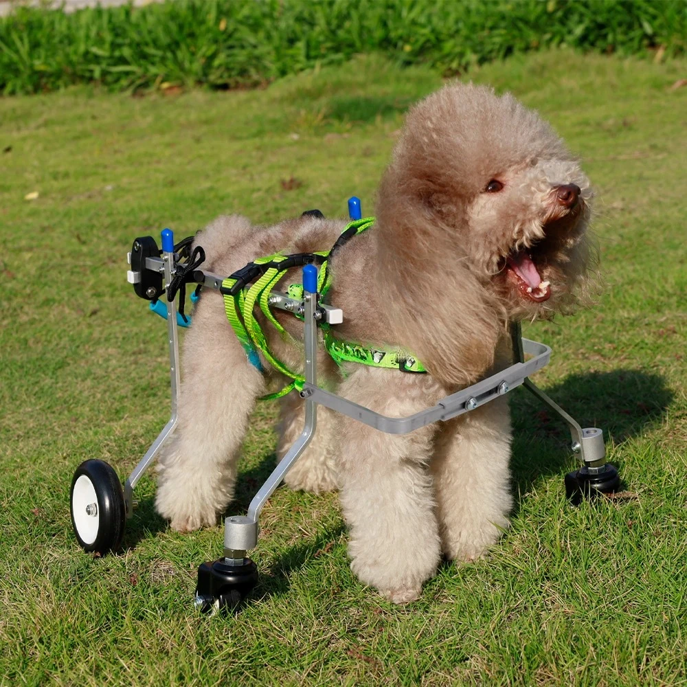 

Dog Wheelchair with Hind Limb, Paralysis Rehabilitation Wheelchair, Dog Assisted Exercise, Walking Bracket, Four Wheels