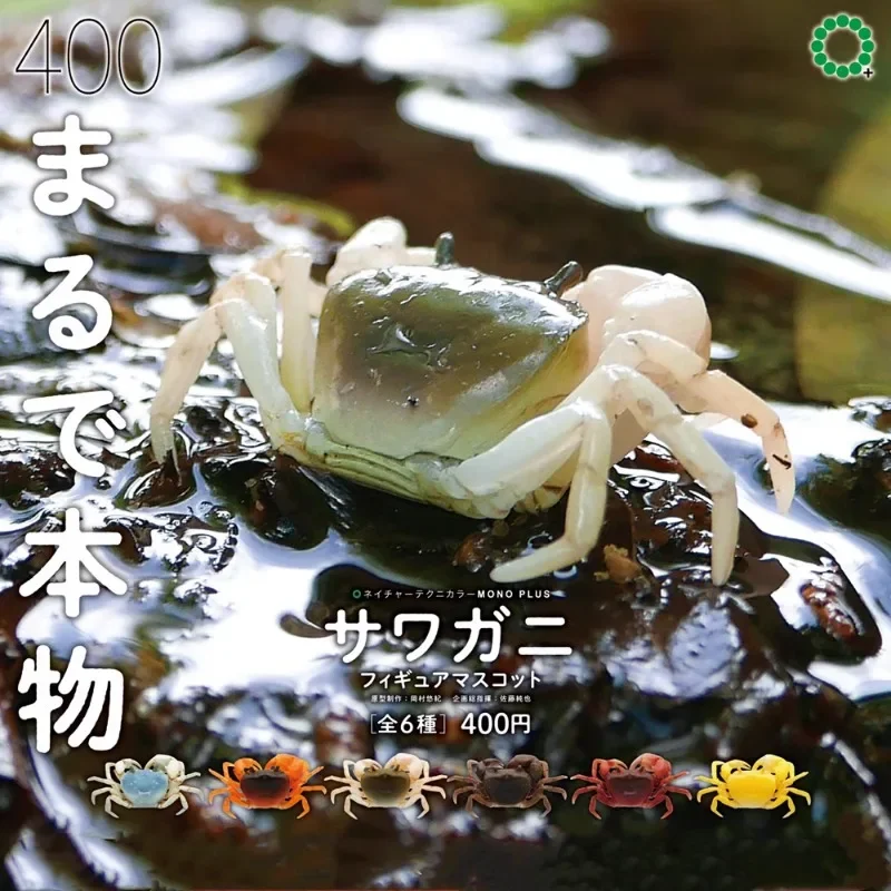 

Original Genuine Kitan Gashapon Kawaii Cute Anime Artificial Animal River Crab Model Miniature Figure Capsule Toys