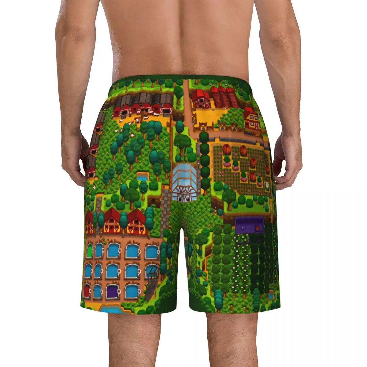 Stardew Valley Game Forest Farm Layout Board Shorts Summer Y2K Beach Short Pants Males Sports Fitness Quick Dry Swim Trunks view 2