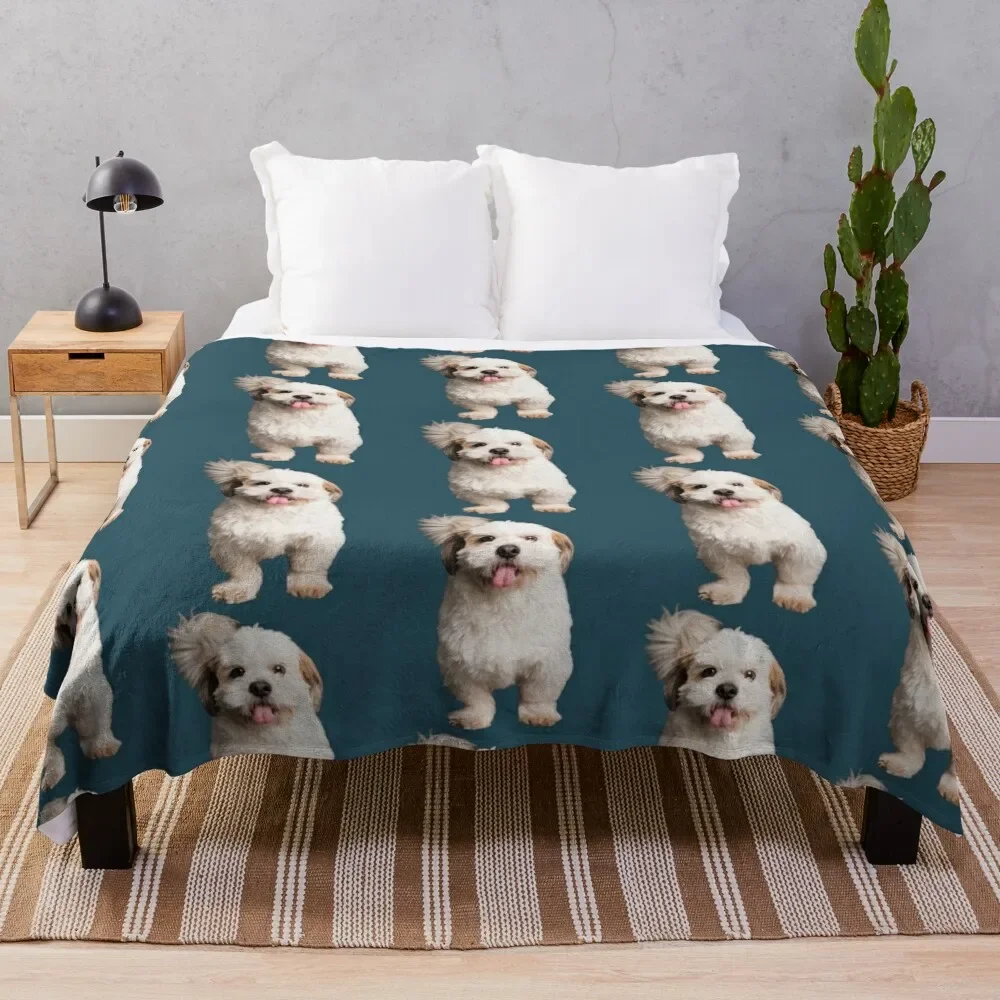 

Shichon mignon, la vie est meilleure avec un Shichon, amoureux des chiens, la vie est meilleure avec Throw Blanket