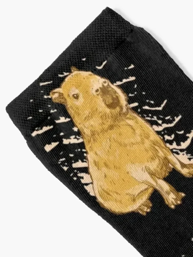 Capybara | Capybara Socks Soccer luxury shoes Stockings compression Ladies Socks Men's