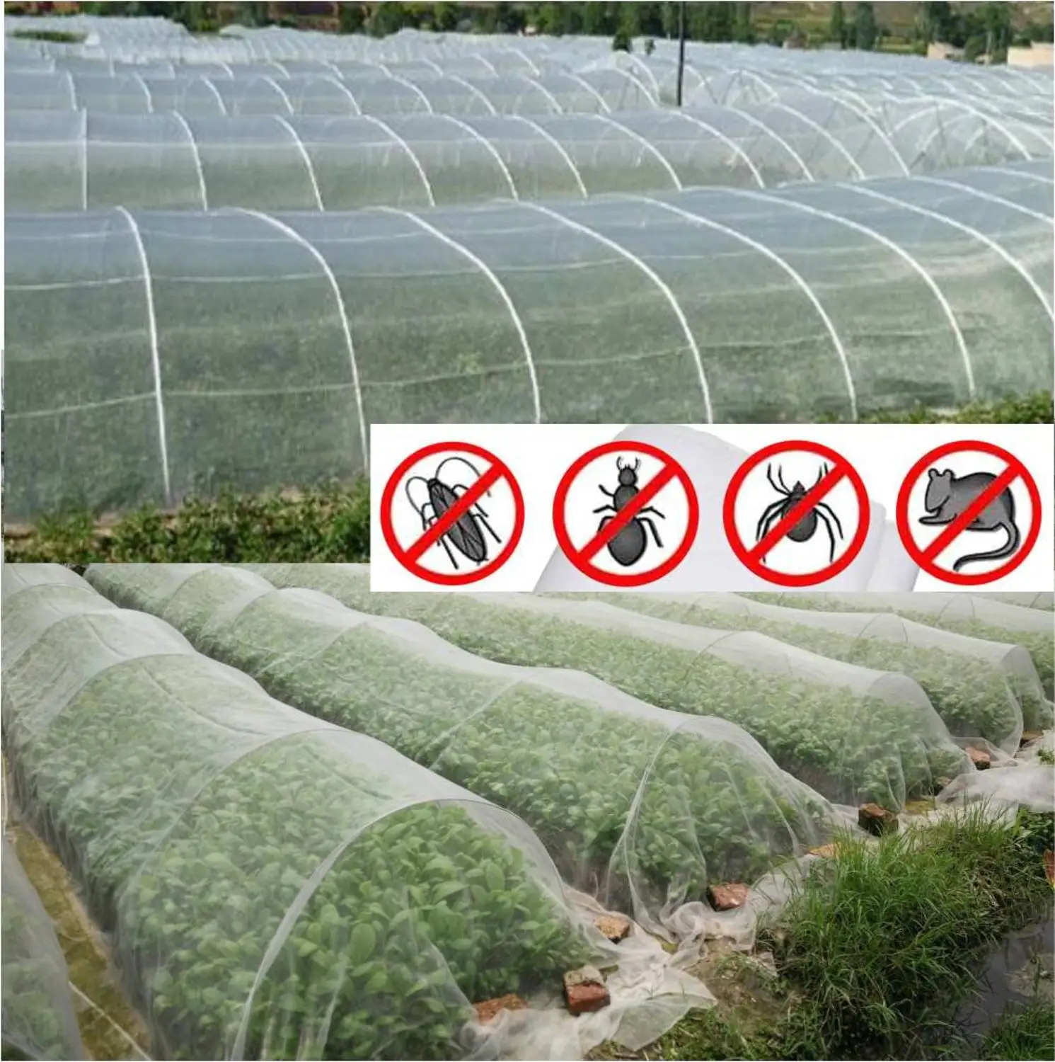 100 Mesh Garden Insect Net Protection Net Bird Net Mist Net Fruits Nets Vegetables Care Cover Nylon Net Anti Pests Birds Chicken