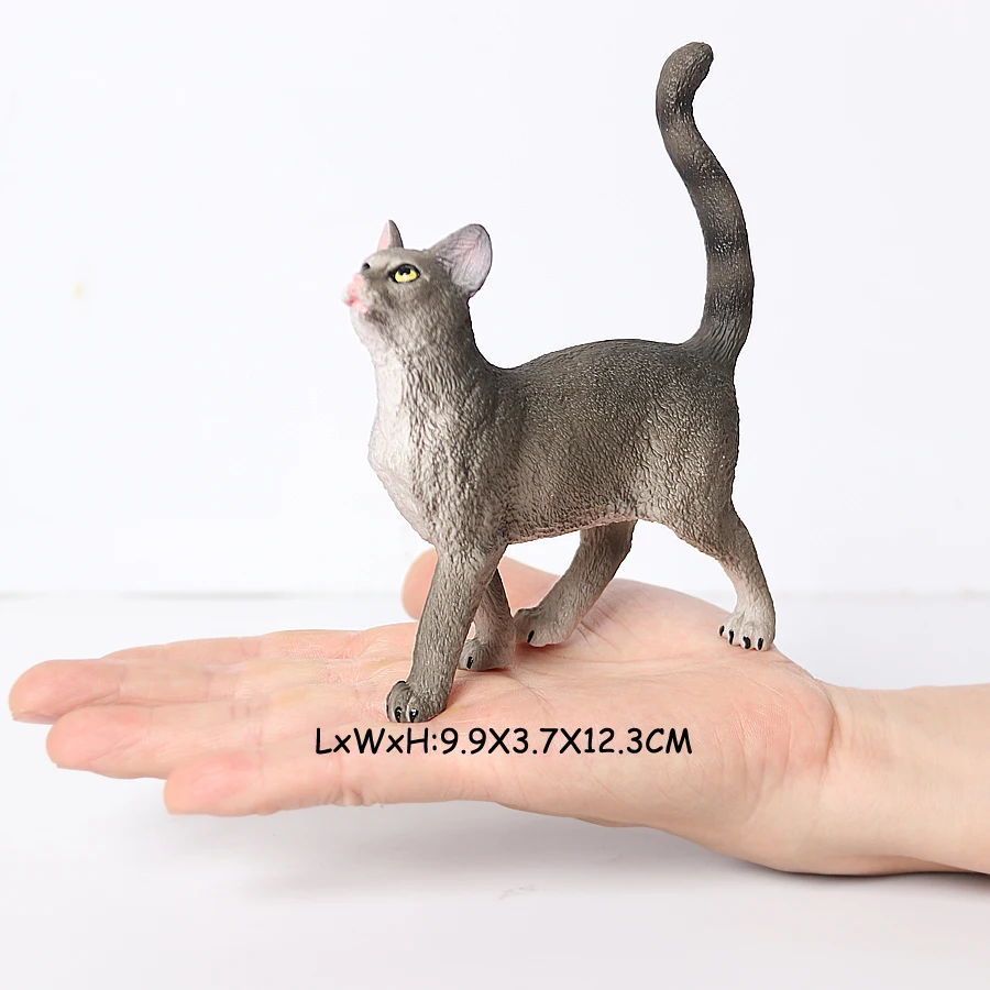 Cat -21