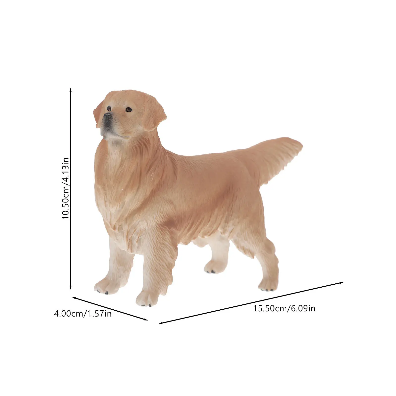 Realistic Golden Retriever Simulation Animal Decoration for Bedroom Playroom Study Garden Desktop Educational Cognitive