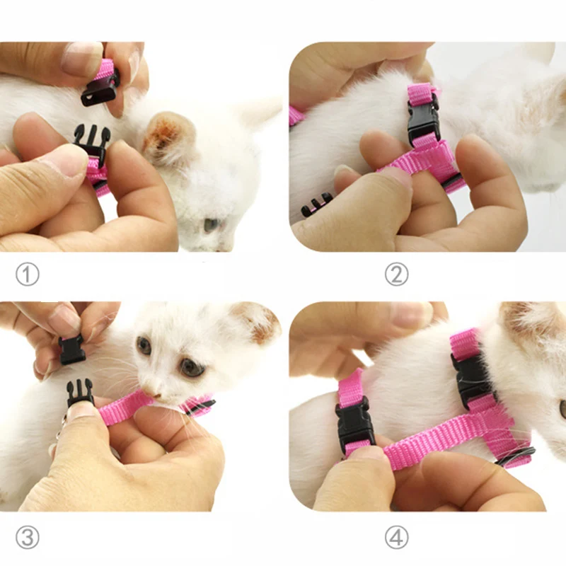 Angel Wings Cute Cat Harnesses Pet Harness and Leash Set For Cats Puppy Rabbit Kitten Accessories artículos para mascotas Lead