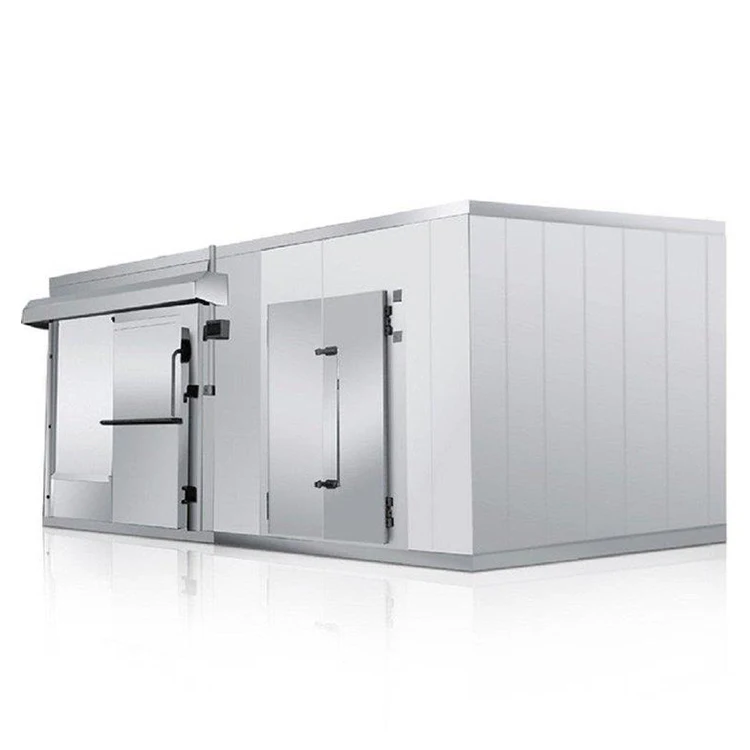 Холодная комната для прогулок в холодильнике Производитель холодной комнаты Прогулка в морозильной камере Хранение рыбы