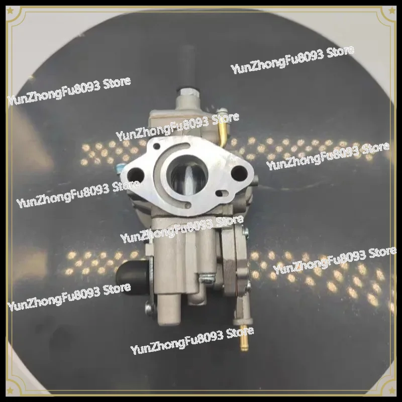 G5K 1E46FB Huasheng 3F-30 3WF-30 DMC800 Carburetor, Fertilizer Parts
