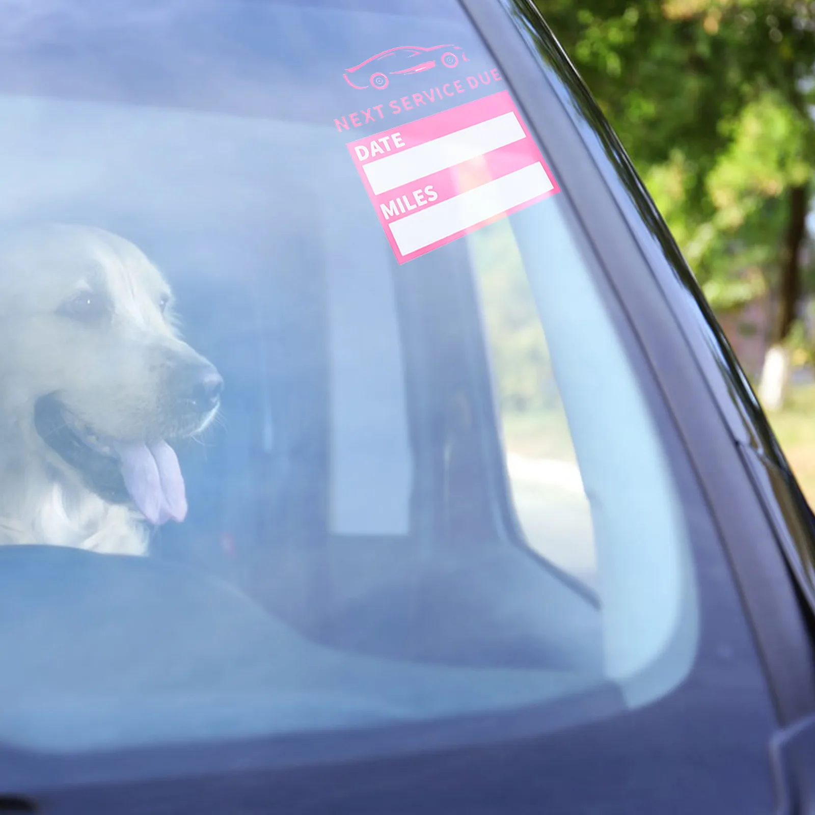6Sheets Car Service Reminder Labels Static Cling Non Adhesive Windshield Stickers Next Service Due Waterproof Electrostatic Film