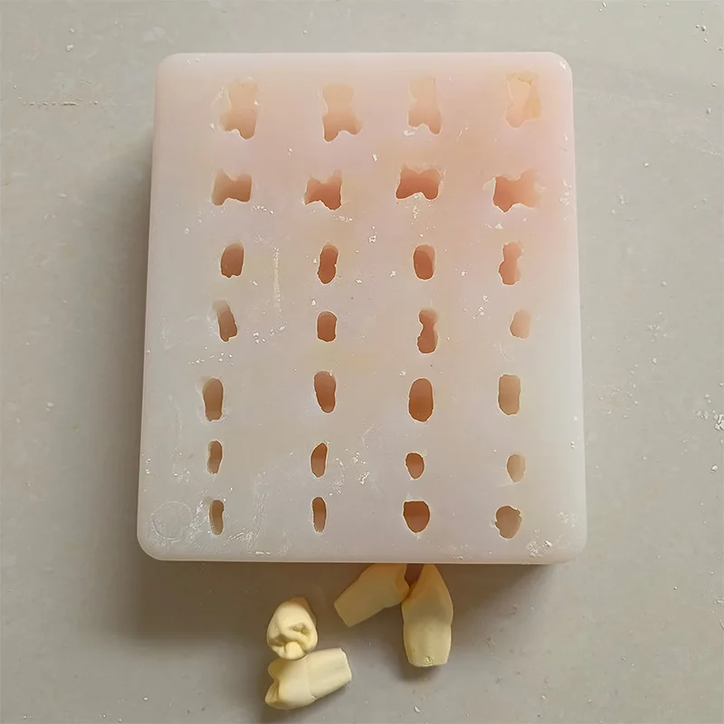 1.2/2 Times Lab Tooth Plaster Model Mould Full Mouth 28 PCS Gypsum Teeth Rubber Silicone Molds s