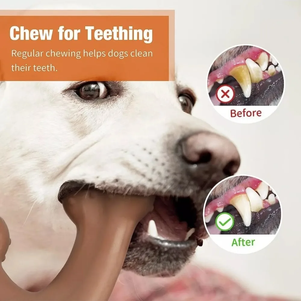 New Nylon Beef Flavour Wishbone Grinding Teeth Puppy Interactive Extreme Tough Dog Toy Dog Supplies Training Dog Chew Toy Bone