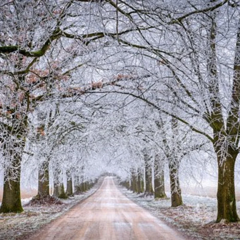 

4Pcs 109mm 1/8 1/10 for Short Course Truck Tire with 12mm 14mm 17mm Wheel Hex