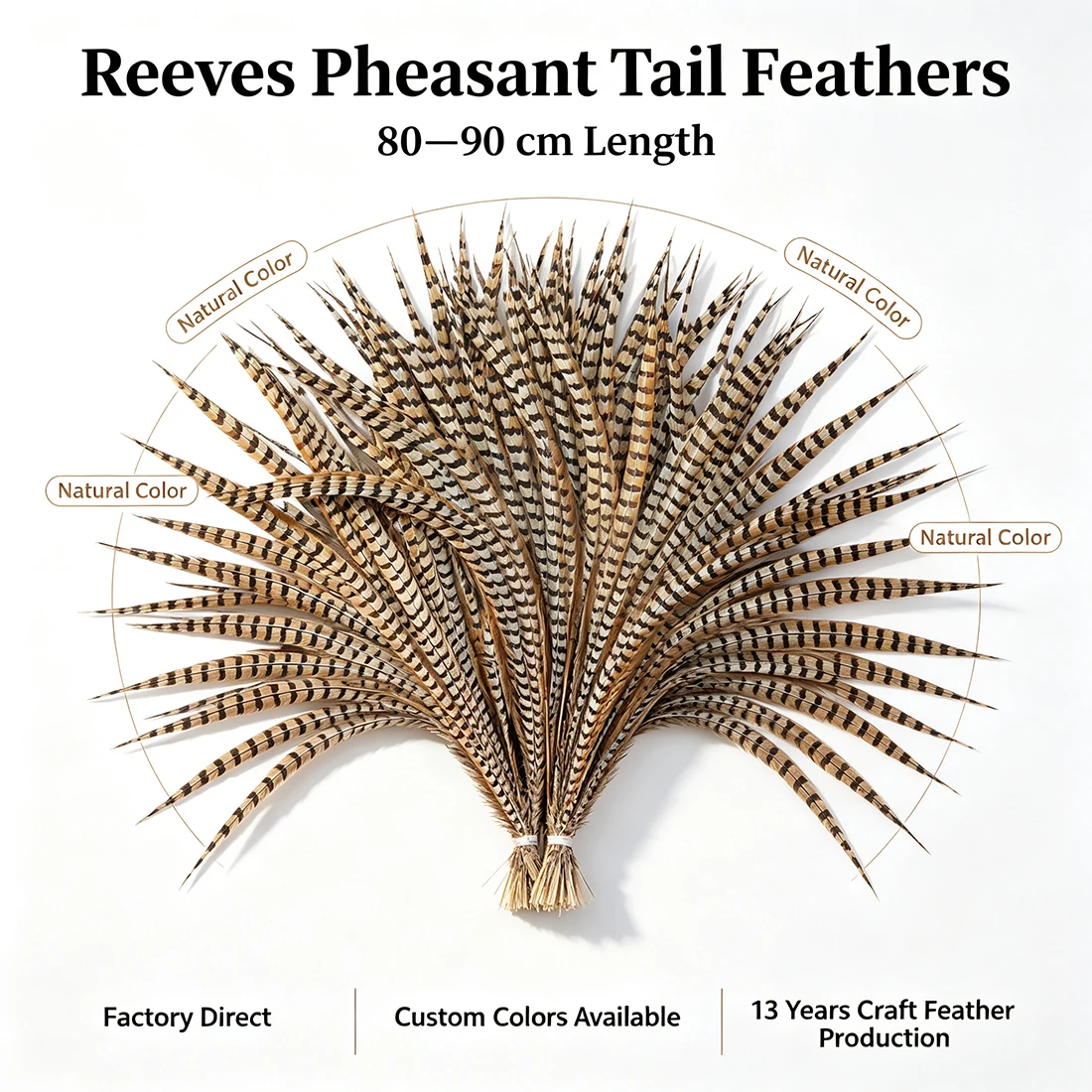 ZPDECOR Reeves Pheasant Feathers 80-90cm Long Feathers for Holiday Party Decorations Assorted Colors Natural & Artificial Plumes