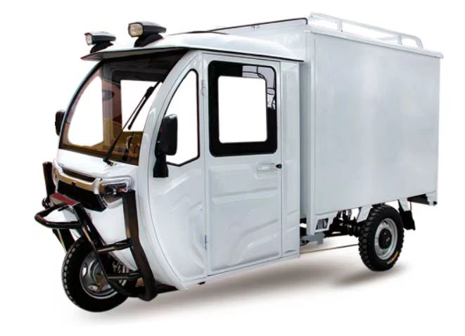 Cargo 3-Wheel Electric Tricycle 60V Motor 1200W Power 400kg Payload Capacity EEC/DOT Certified Steel Cabin Closed Van