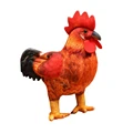 Cock