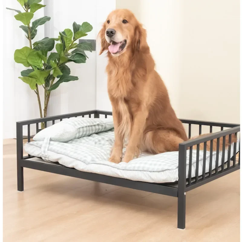 

Teddy Gold Retriever Bed Breathable Indoor Bed for Cats with Paint Baking Process Stable and Load-Bearing New Arrivals Hot Sale