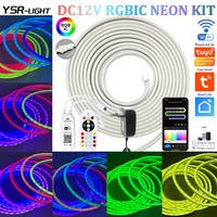 1-5M DC12V Neon RGBIC LED Strip Kit Tuya WiFi Smart Control Dream Color Solf Flowing Light App/IR Remote/Voice/ for Alexa Google