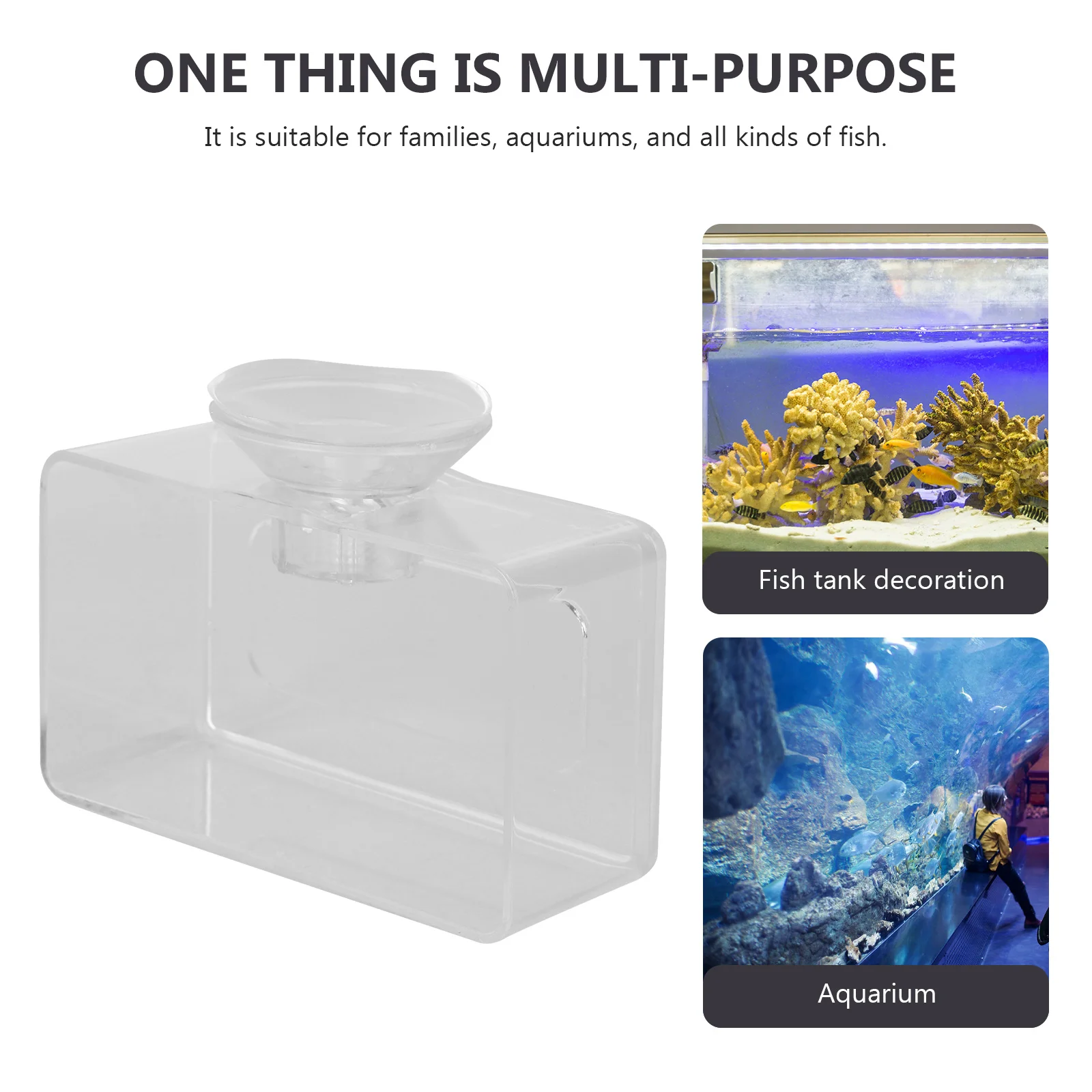 

1pc Tank Feeder S Size Transparent Acrylic Sturdy Aquarium Feeding Container Clean Water Fish Food Management Aquarium Turtle