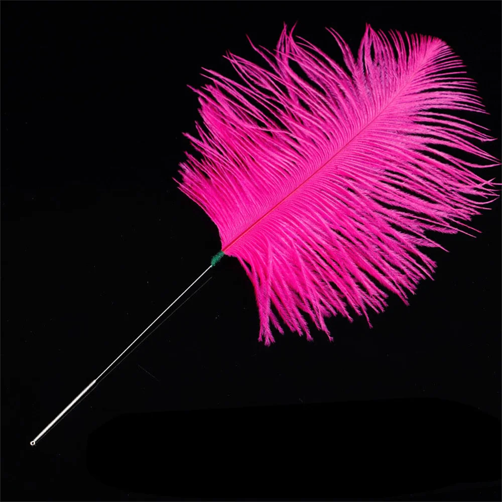 Ostrich Feather Earpick Wax Remover Silver Needle Curette Adult Ear Dig Tools Spoon Cleaner Stick Health Care Ear Pick Tools