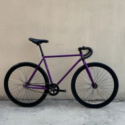 Fixed Gear Bike With Steel Frame 700C Aluminum Alloy Wheels Single Speed Fixie Commuting Bicycle Customizable