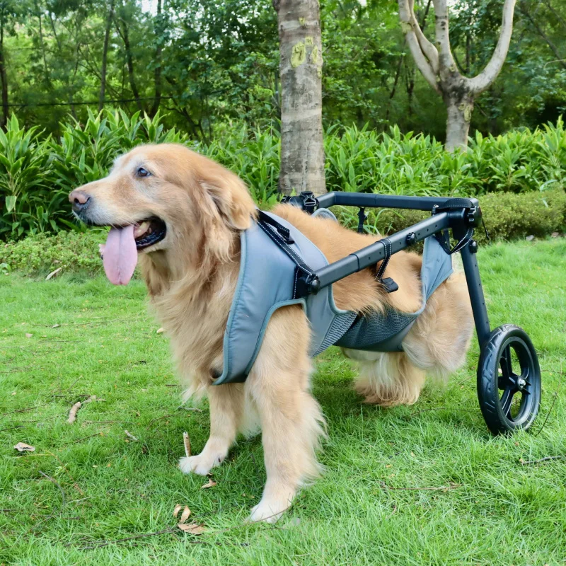 عربة مساعدة للمشي لإعادة تأهيل الكراسي المتحركة المتوسطة والكبيرة، مساعدة الطاقة، سكوتر التنقل للكلاب الأليفة