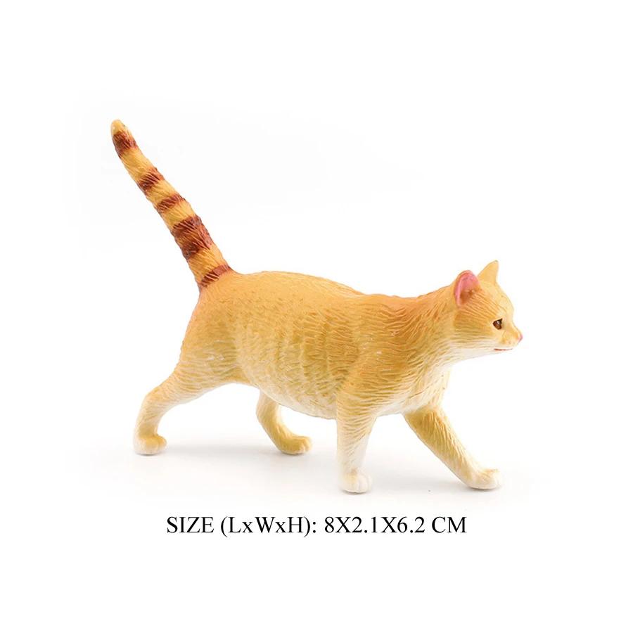 Cat -9