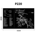 p220