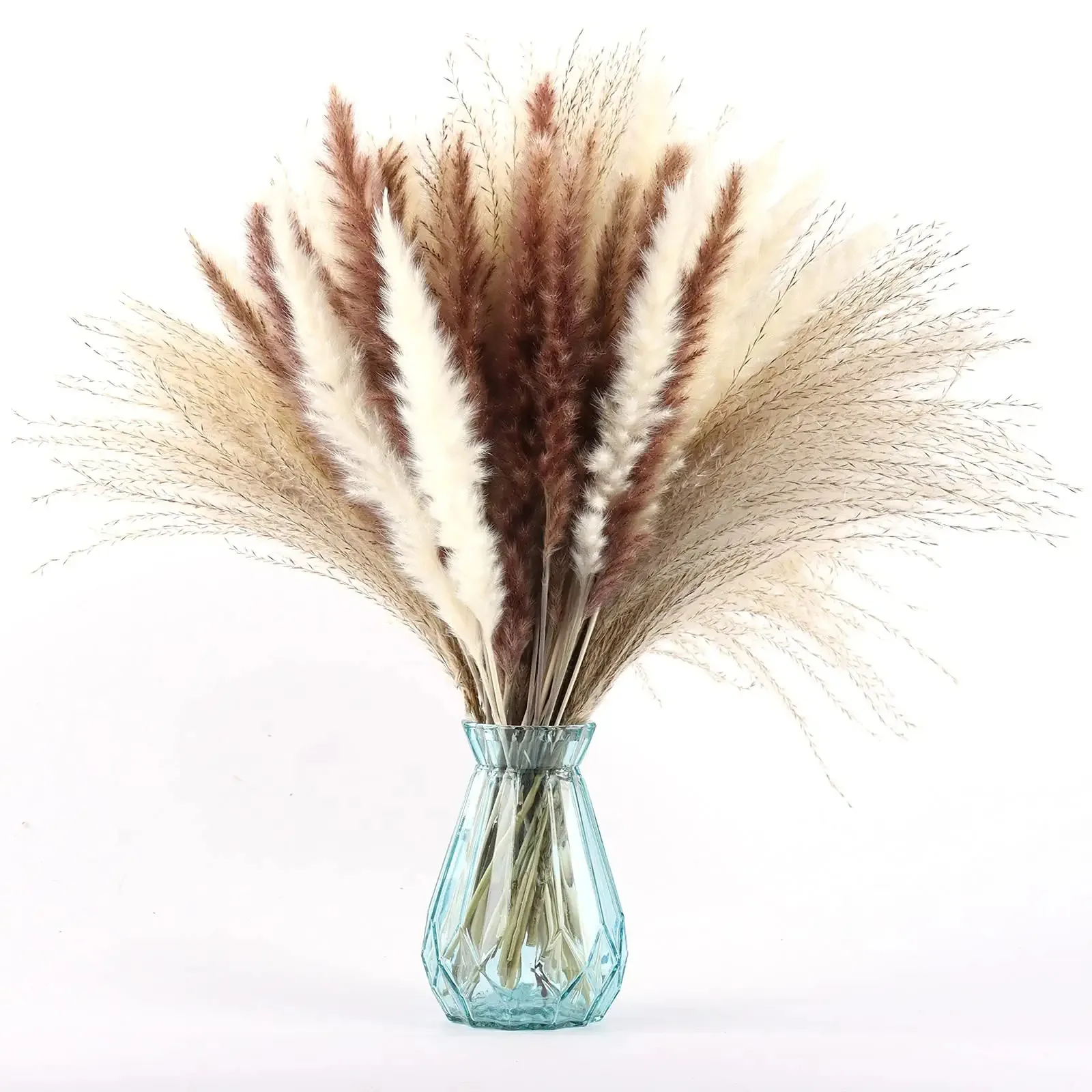 Pampas de estilo bohemio para el hogar, arreglos florales de hierba, Pampas secas naturales, plantas de hierba para decoración de sala de estar, fiesta de boda