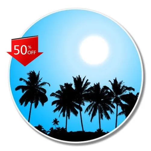 

Palm Trees Phone Trendy Walls Camper Van Bumper Car Waterproof Vinyl Decal Decoration Aesthetic Cool Funny