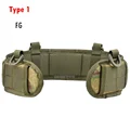 Type 1 FG