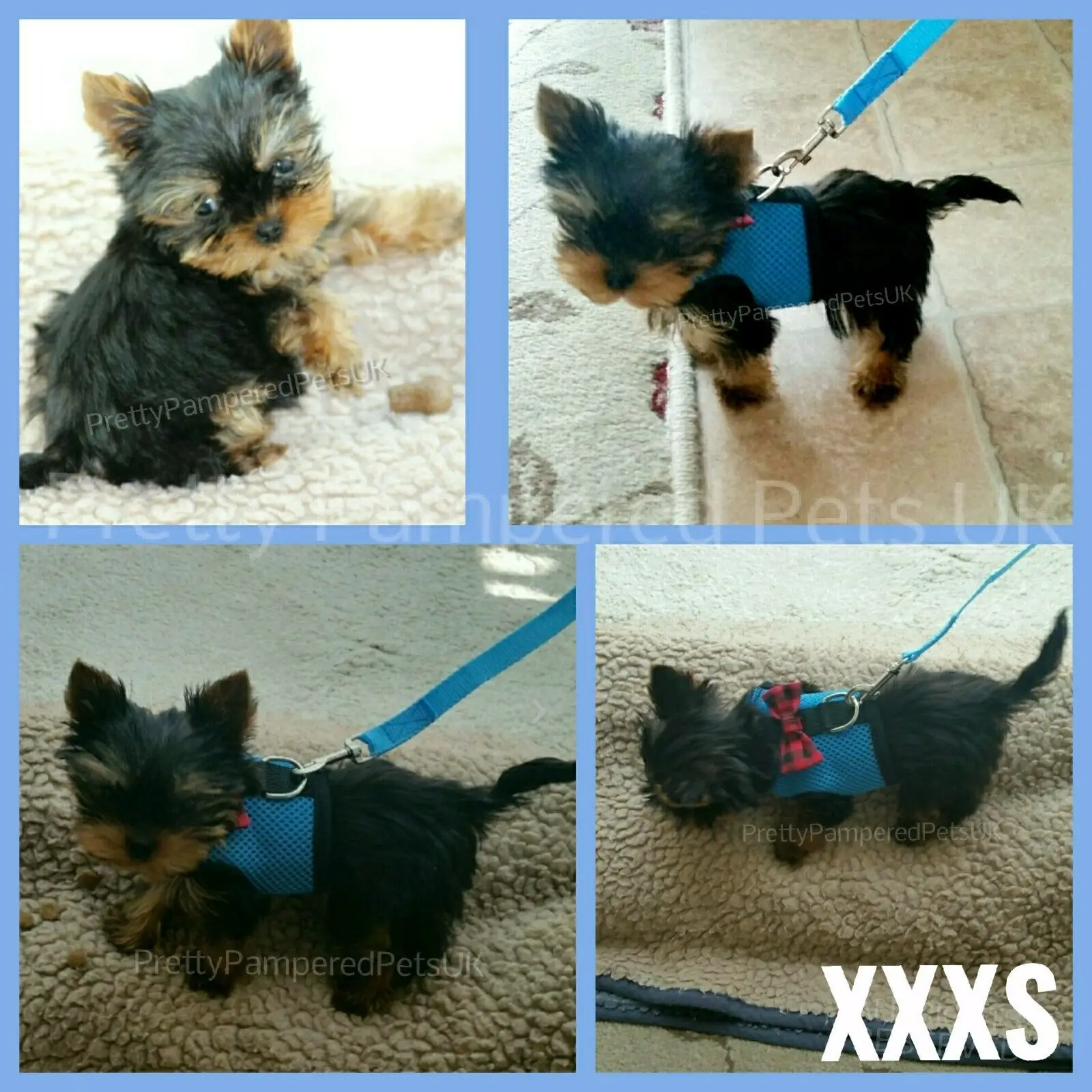 XXS/XS/S Small Teacup Dog Harness Soft Vest W/ Leash Collar for chihuahua yorkie