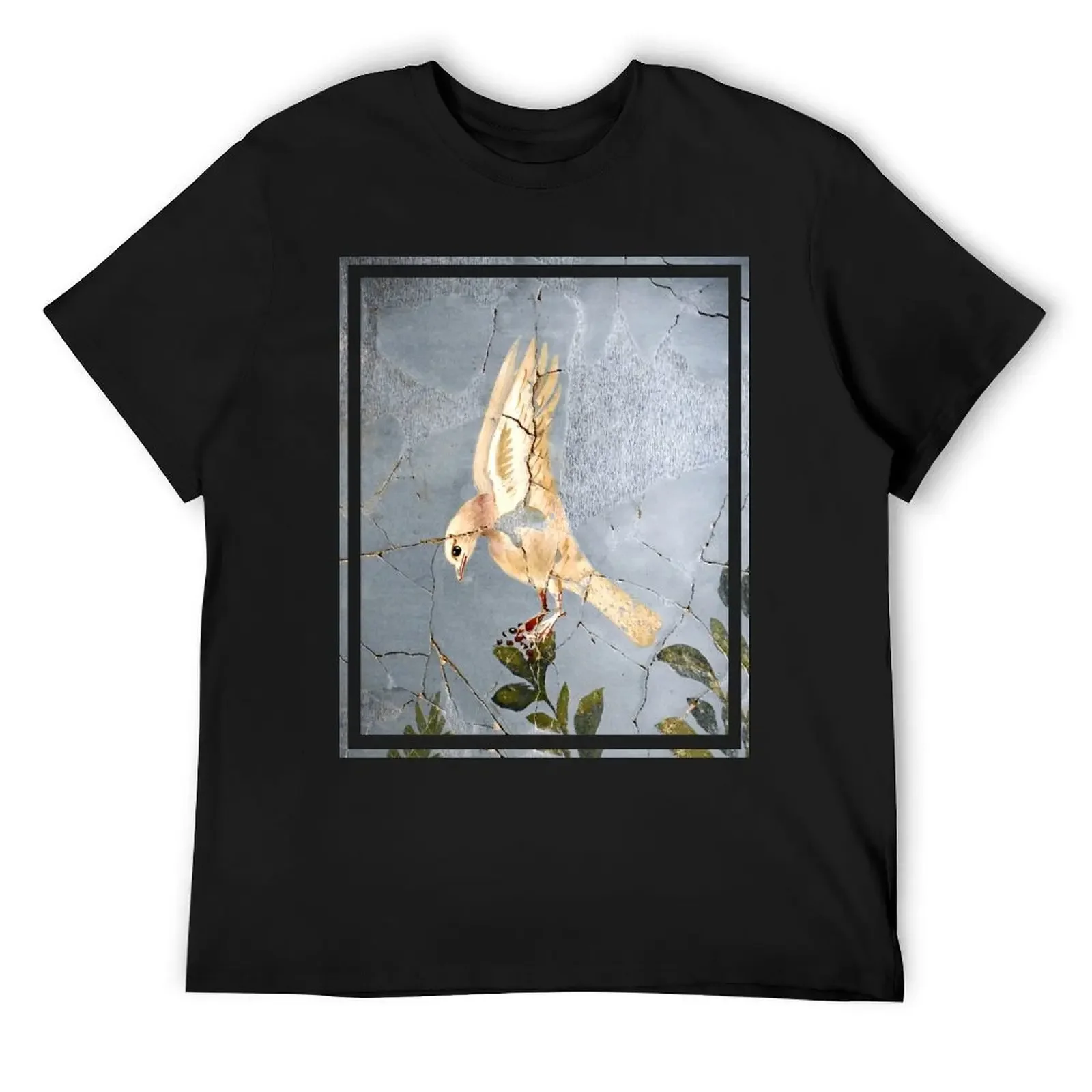 Pompeiian White Dove T-Shirt anime figures sublime mens clothes