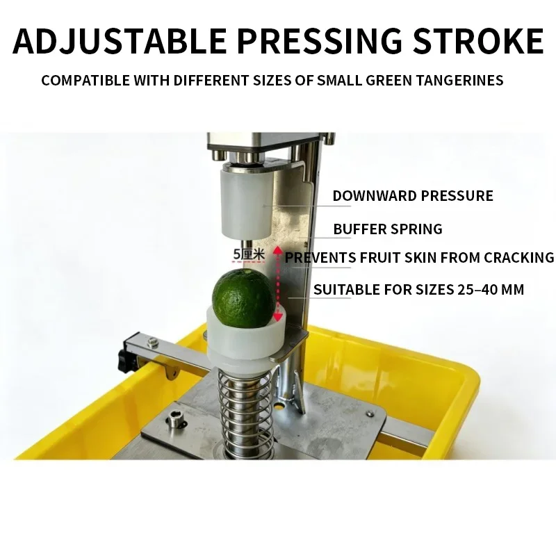 #Lever-Style Green Tangerine Core Remover, Green Tangerine Pu'er Tea Production, Manual Apple Corer, Stainless Steel Fruit Corer