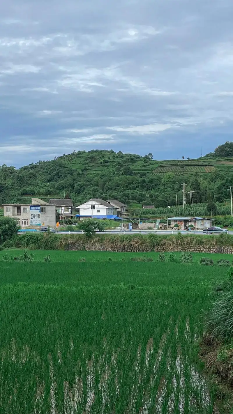 Fimi x8 se (xiaomi в москве квадрокоптер) купить от 27,00 руб. Камера и фото на 1rub.ru