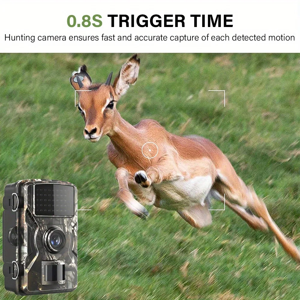 #11 Compare Trail Cameras Before You Buy