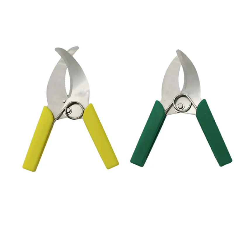 Neues Ring-Schälmesser, Schere, Wundmesser, Garten- und Obstbaum-Beschneidungsmesser, Wein- und Strauchpflegemesser, Veredelungsmesser für den Obstgarten