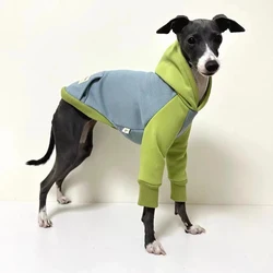 Thickened Hooded Sweatshirt for Pet, Color Block, Warm Greyhound Whippet, Large Size Dog Clothes, Winter