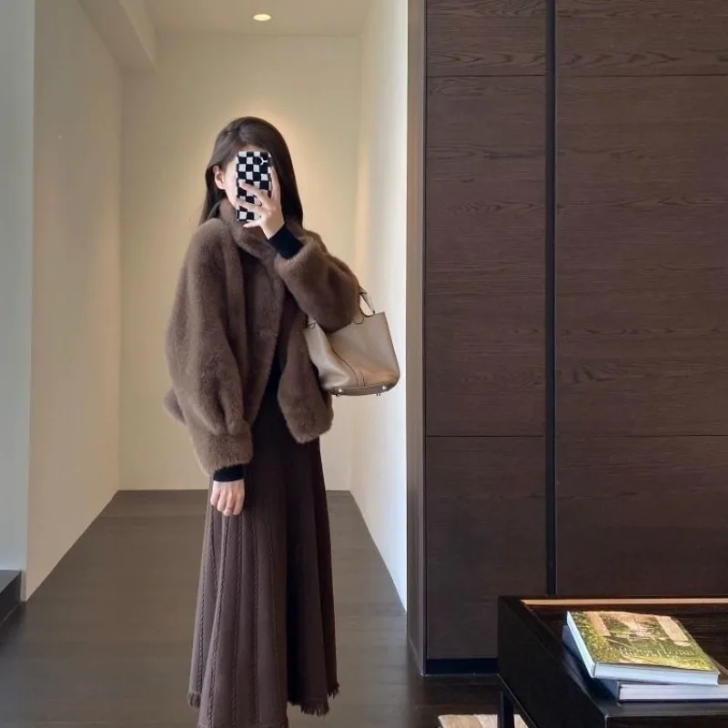 Cappotto in pelliccia sintetica Pelliccia integrata Colletto rialzato Cardigan corto ecologico Cappotto invernale da donna Abbigliamento femminile