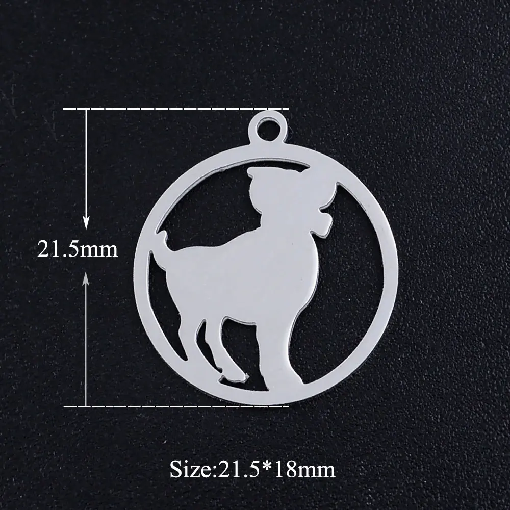 10 Pieces/lot 316 Stainless Steel 12 Constellation Zodiac Signs Earring Charm Wholesale Aries Gemini Pendants DIY Jewelry Charms