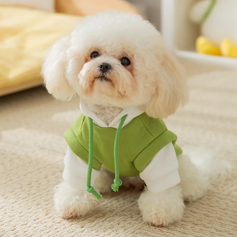 

Teddy Cartoon Hoodie New Hooded Tide Cool Wind Dog Clothes Casual Puppy Sweatshirt Pet Winter Clothes Warm Pullover